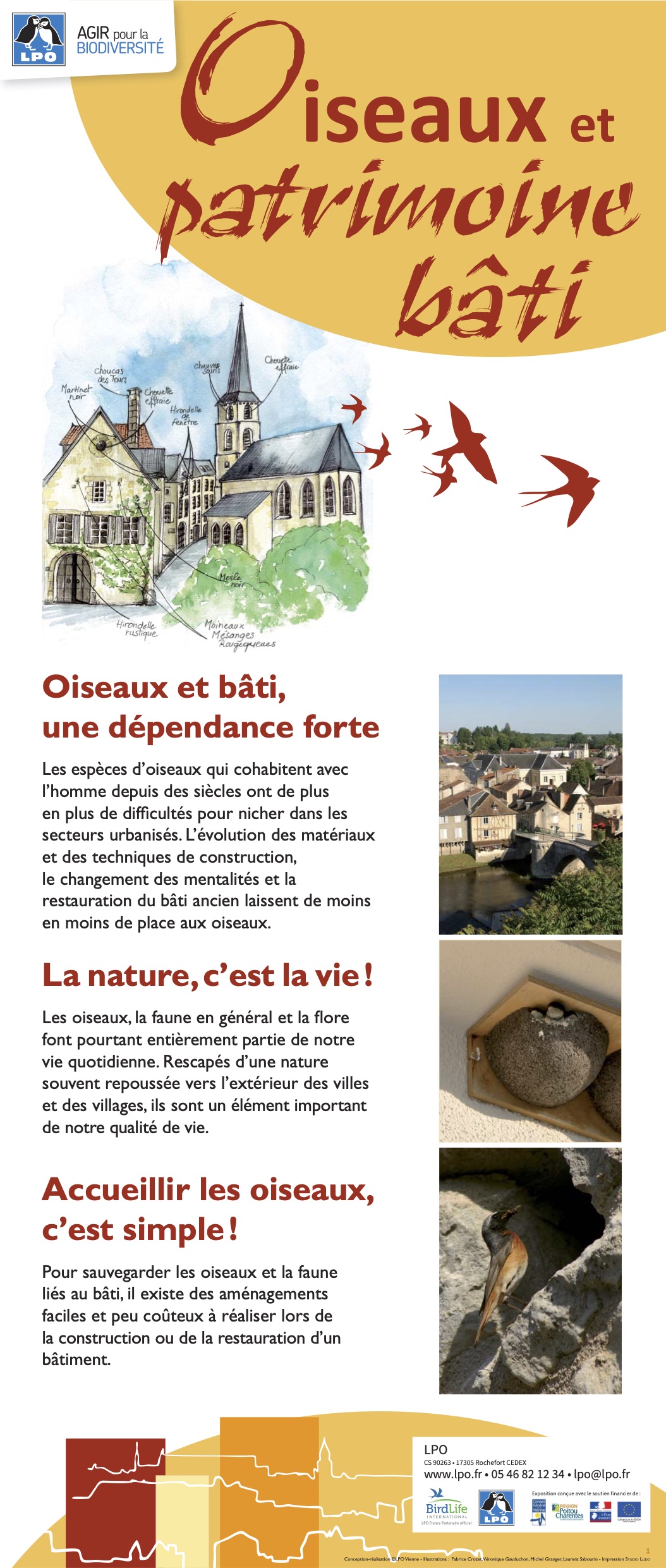Panneau exposition Oiseaux et patrimoine bâti